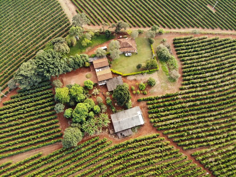 Vista aérea da casa principal e barracão